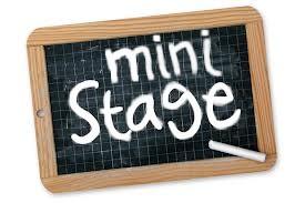 Mini Stage 2024