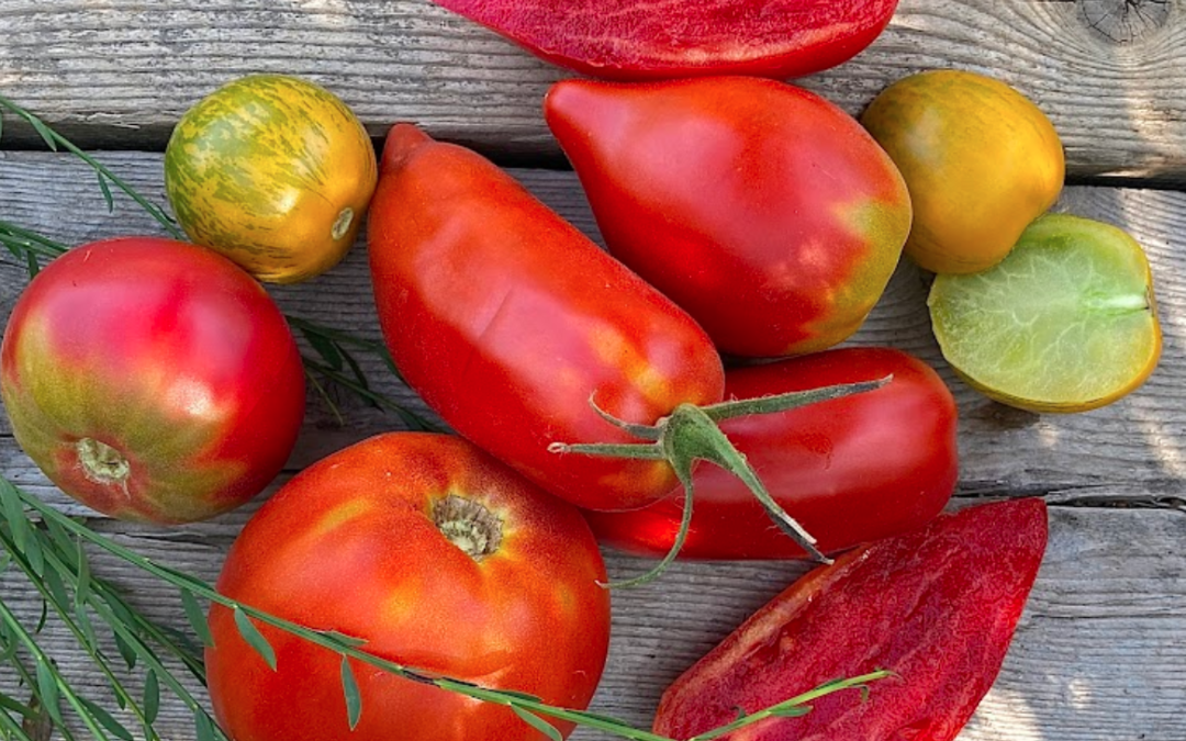 Projet Terminales CAP EPC pour des Paniers Légumes Fruits au lycée