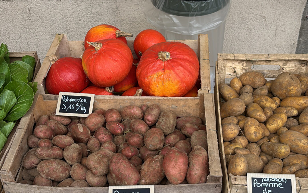 Les terminales CAP Employé Polyvalent de Commerce :  le projet Marché au lycée.